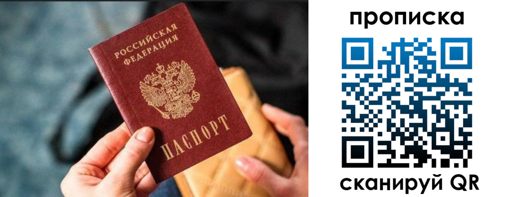 прописка ребенка в Кудрово